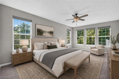 10007 Forest Valley Lane Streetsboro OH 44241