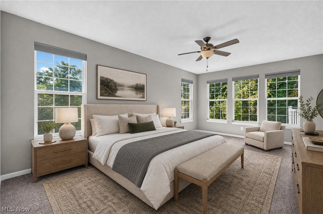 10007 Forest Valley Lane Streetsboro OH 44241