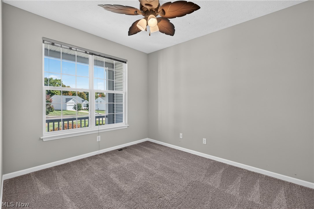 10007 Forest Valley Lane Streetsboro OH 44241