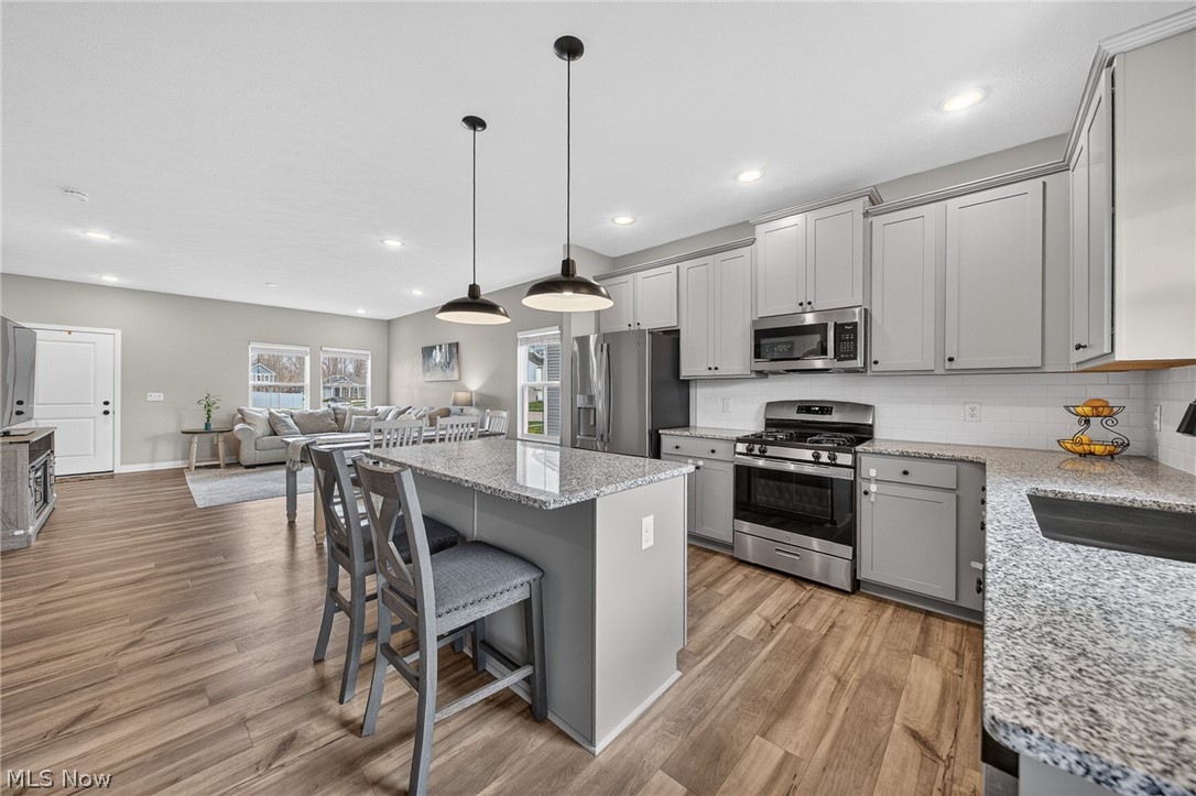 224 Harvest Way Elyria OH 44035