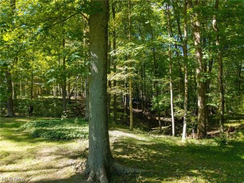 3919 Yellow Creek Road W Akron OH 44333