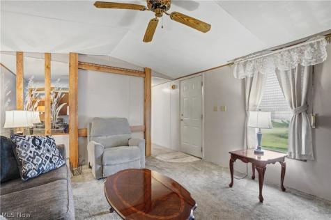 1517 Lady Anne Streetsboro OH 44241