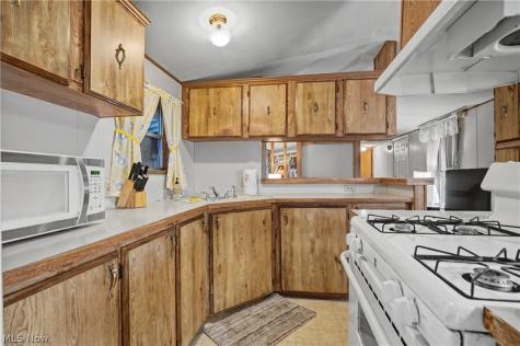 1517 Lady Anne Streetsboro OH 44241