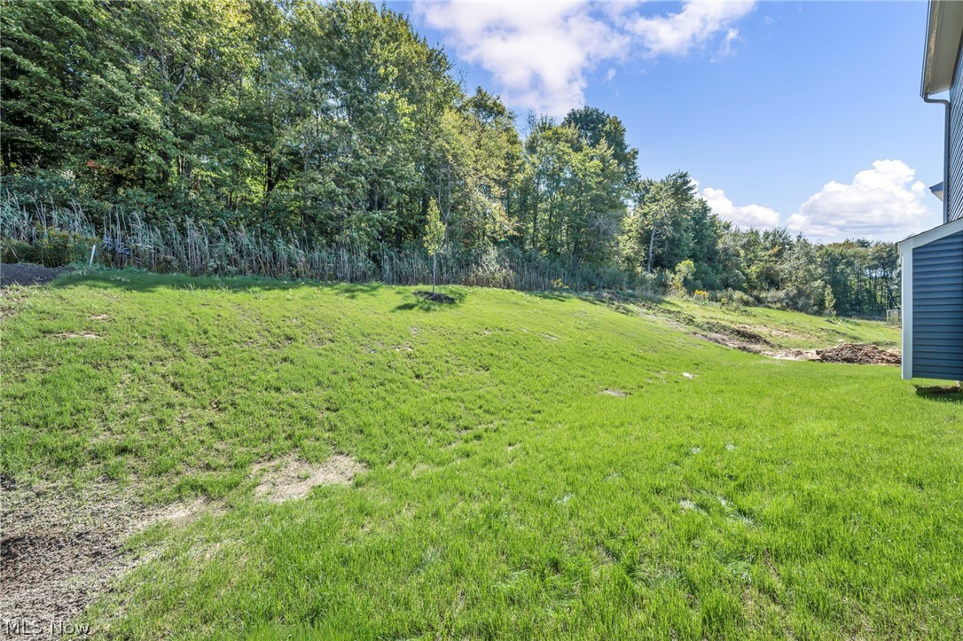 441 Hidden Feather Drive Chardon OH 44024