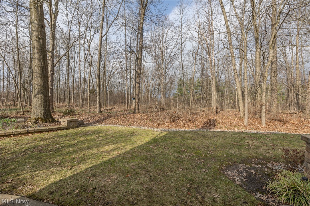 13576 Fairwinds Drive Strongsville OH 44136