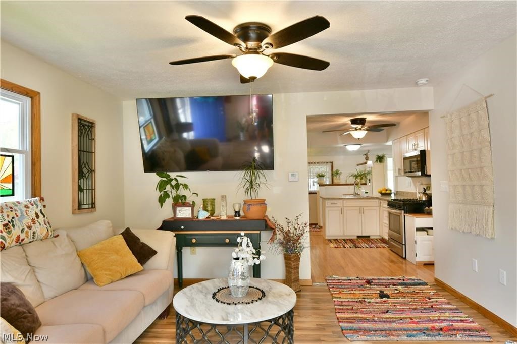 632 Chestnut Street Conneaut OH 44030