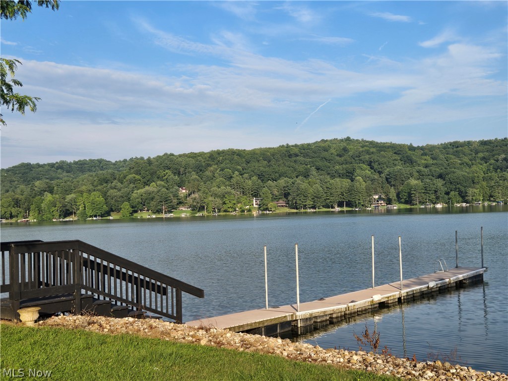 86450 Beaver Dam Road Scio OH 43988