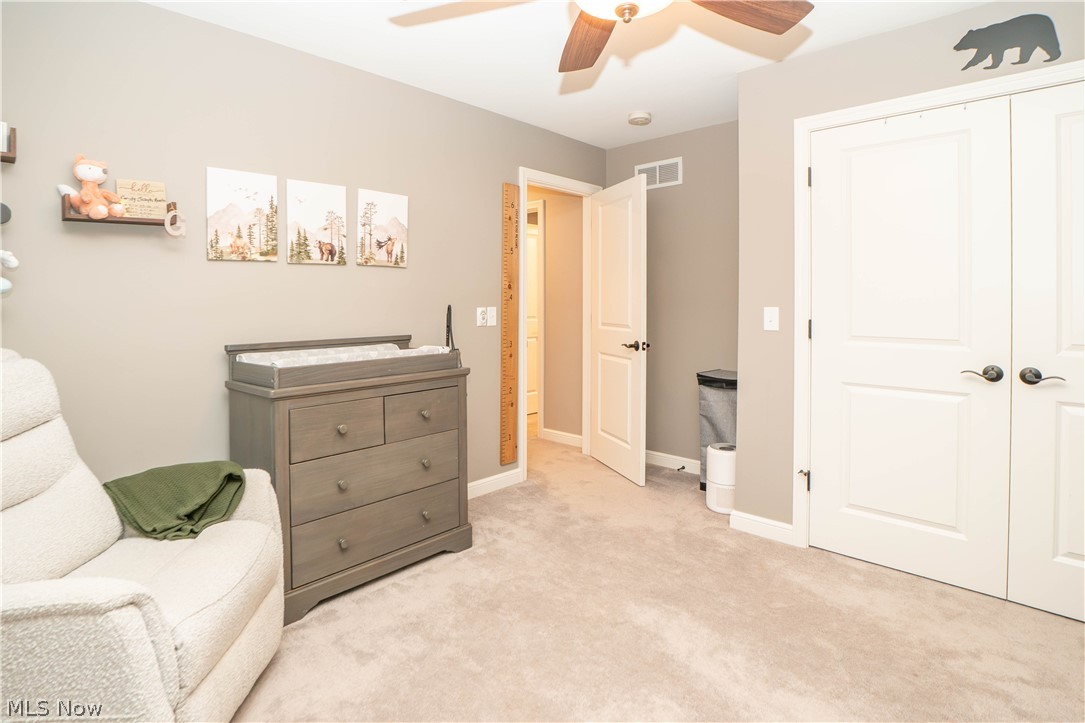 760 Radcliffe Pass Columbiana OH 44408
