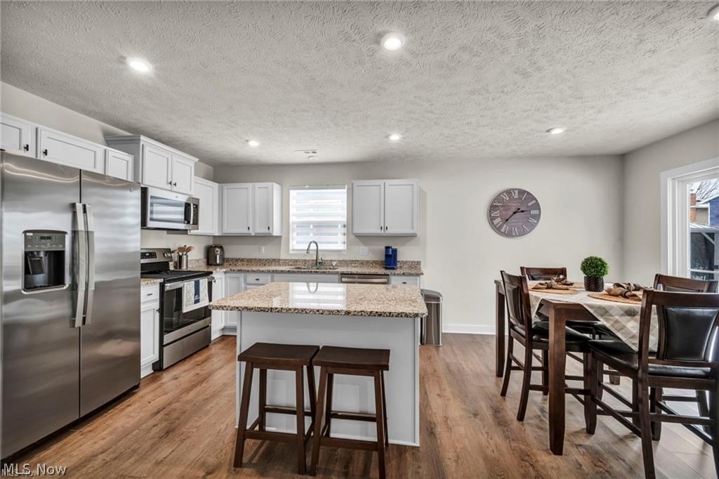 141 W Spring Drive Elyria OH 44035