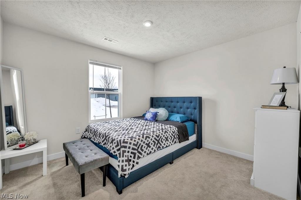 141 W Spring Drive Elyria OH 44035