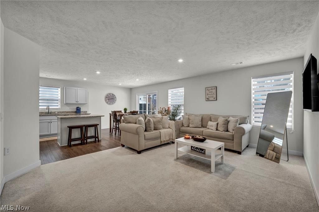 141 W Spring Drive Elyria OH 44035
