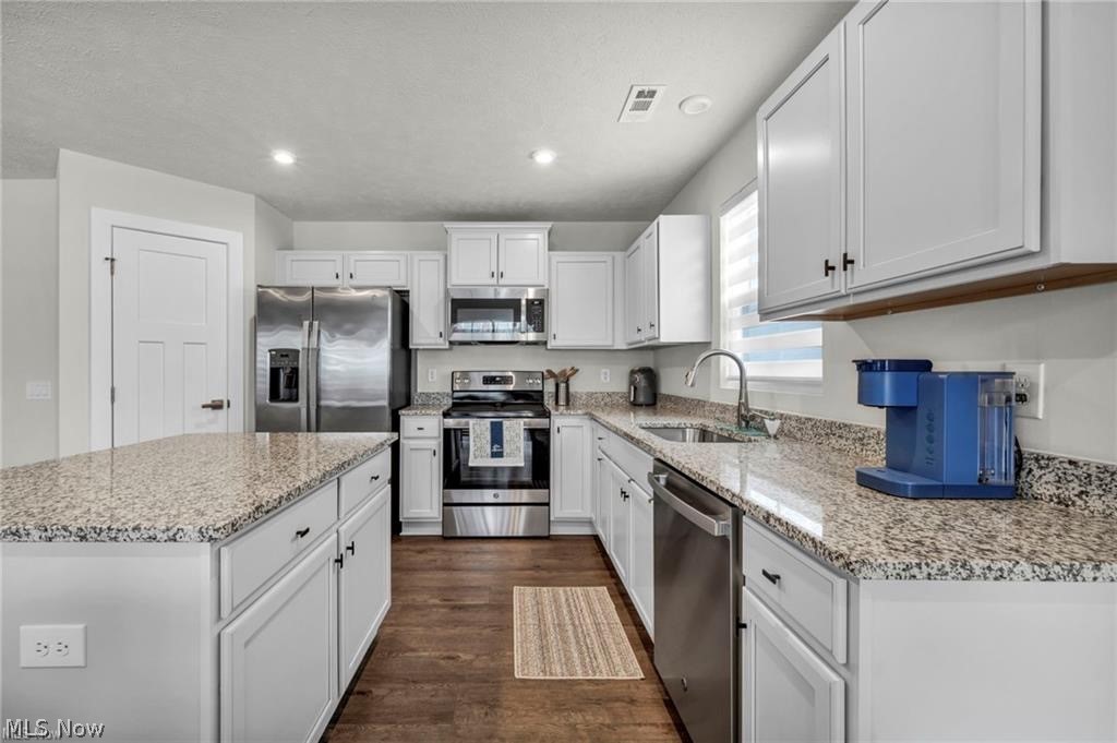 141 W Spring Drive Elyria OH 44035
