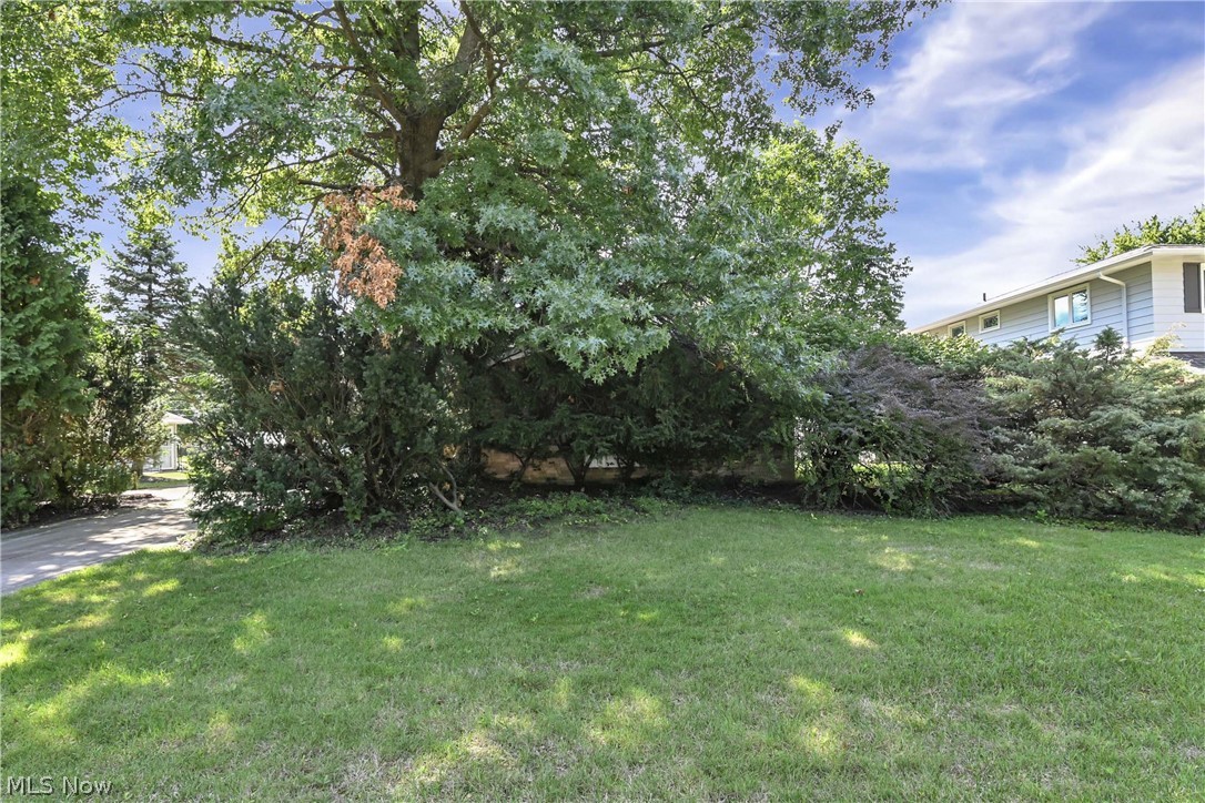 5392 Meadow Wood Boulevard Lyndhurst OH 44124