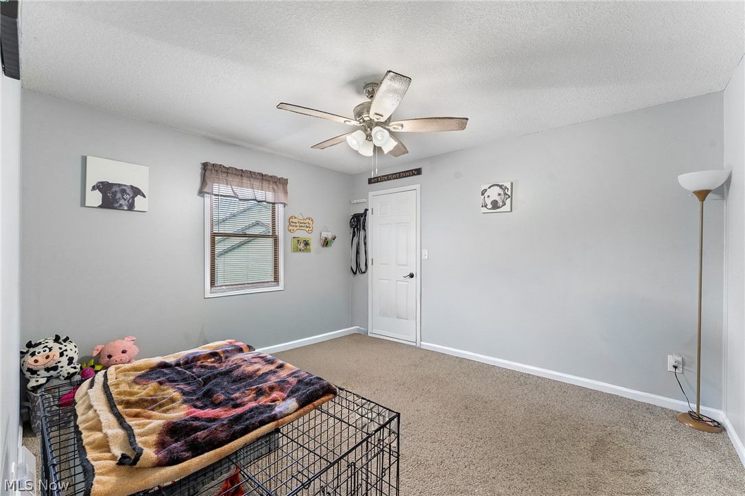 224 Misty Woods Court Struthers OH 44471