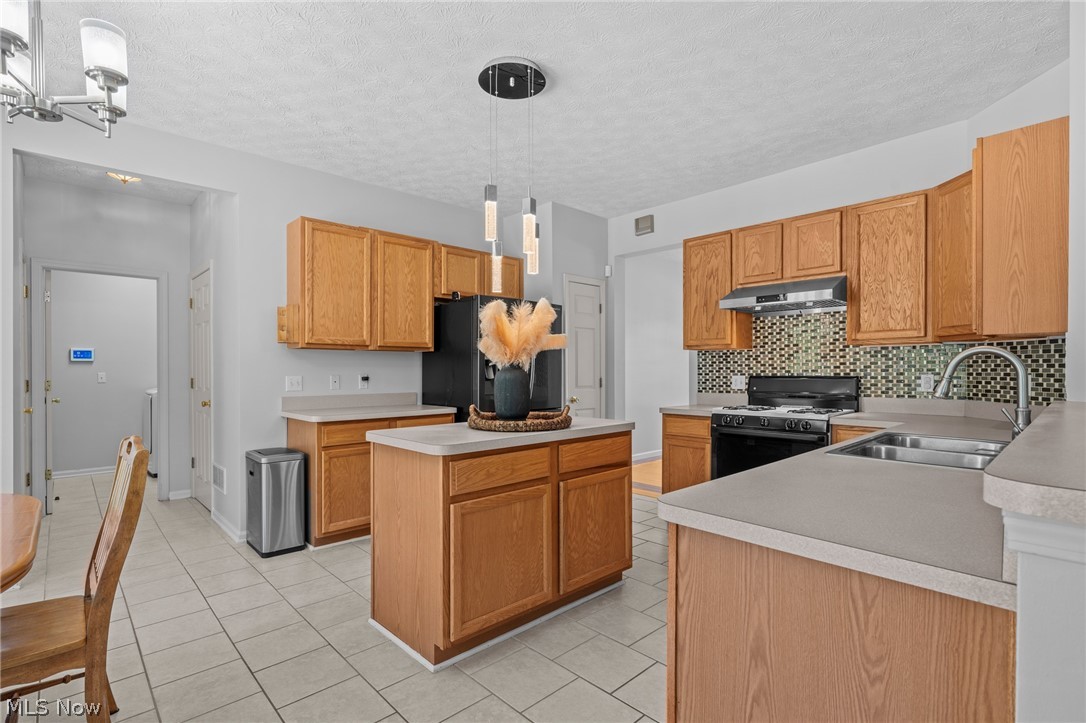 3521 Beaumont Drive Brunswick OH 44212