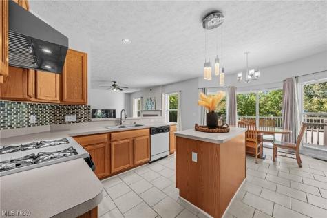 3521 Beaumont Drive Brunswick OH 44212