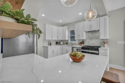1548 Olivewood Avenue Lakewood OH 44107