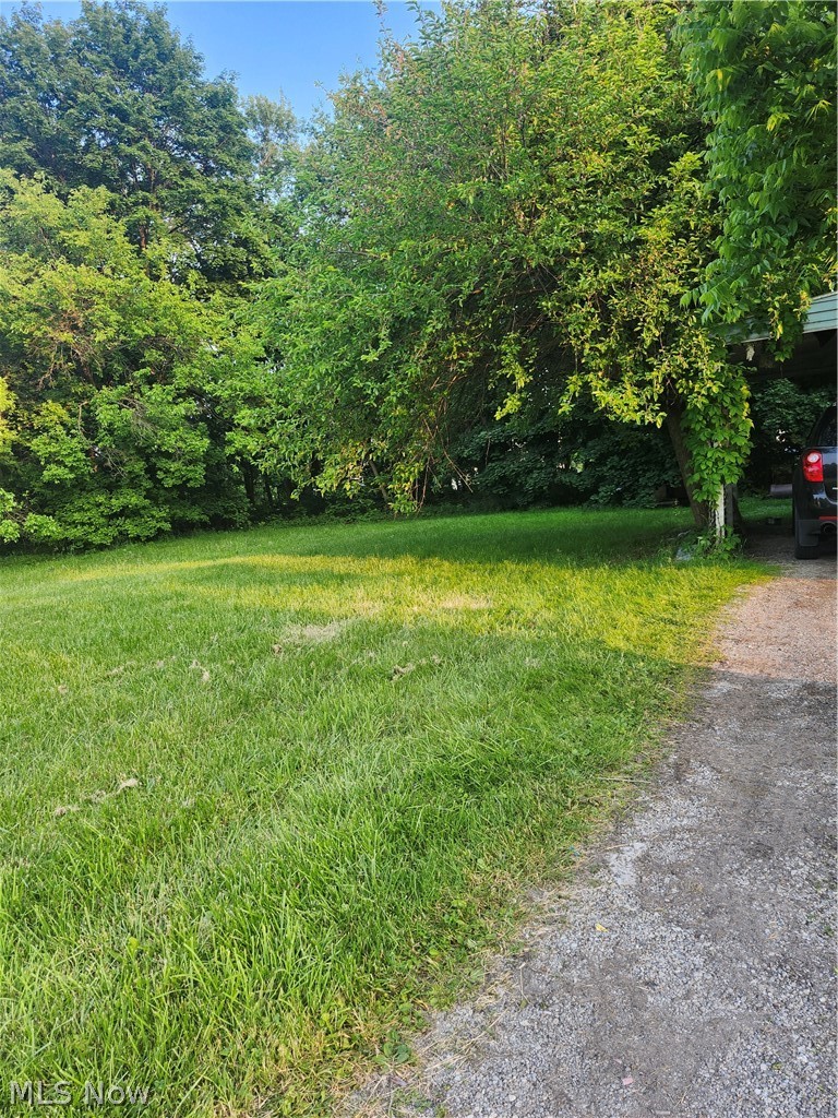 153 W Warren Avenue Youngstown OH 44507