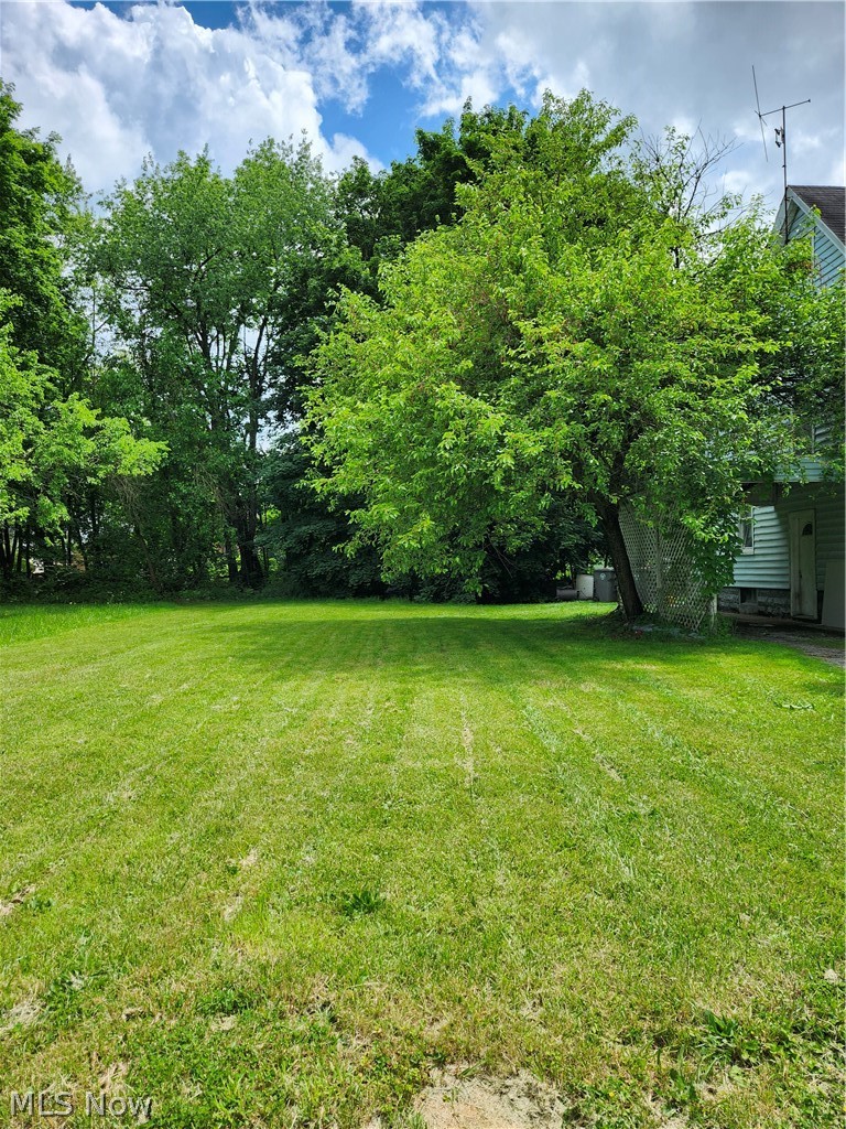 153 W Warren Avenue Youngstown OH 44507