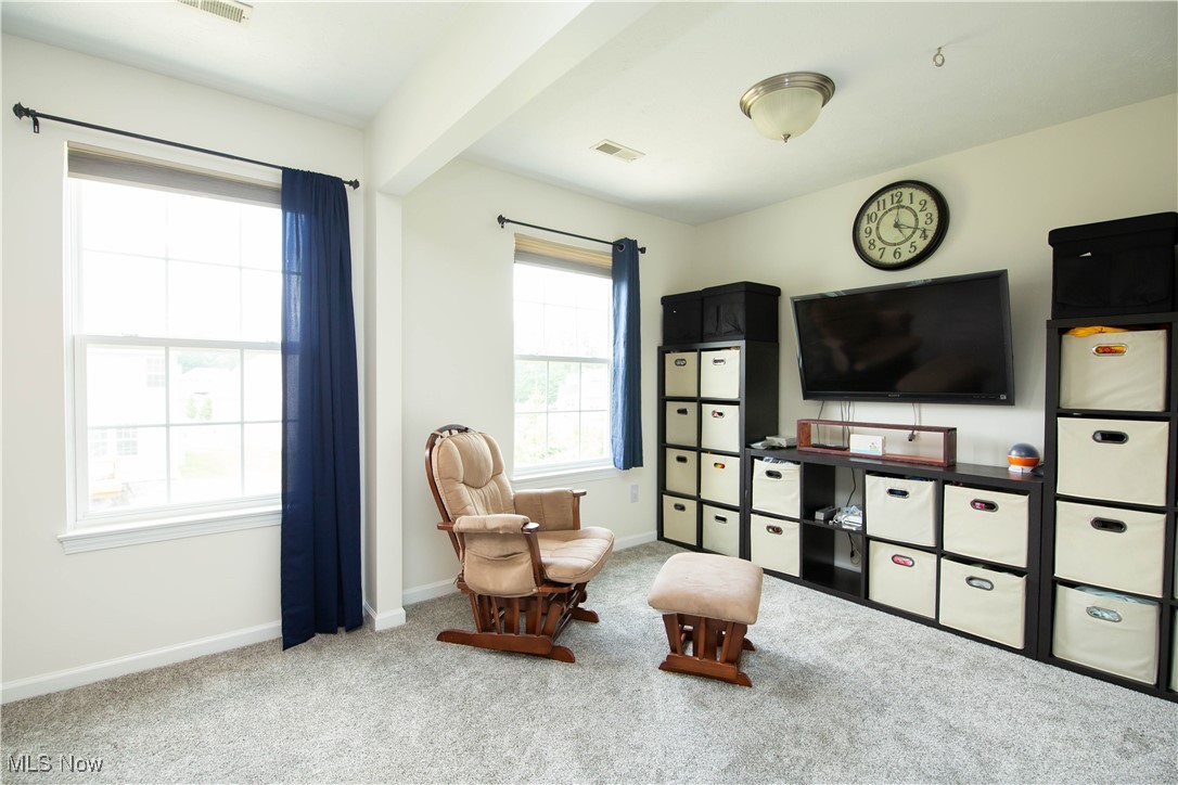 10382 Redbud Drive Aurora OH 44202