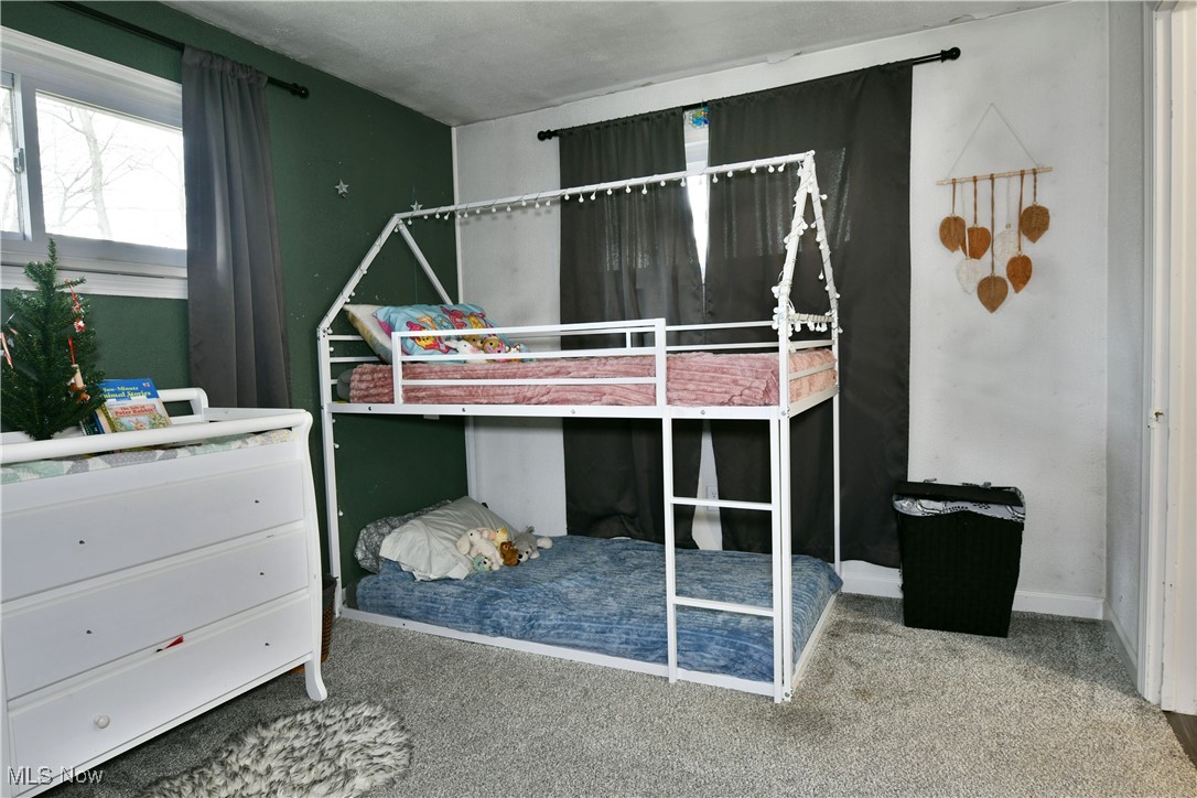 8797 Delin Thomas Road Kinsman OH 44428