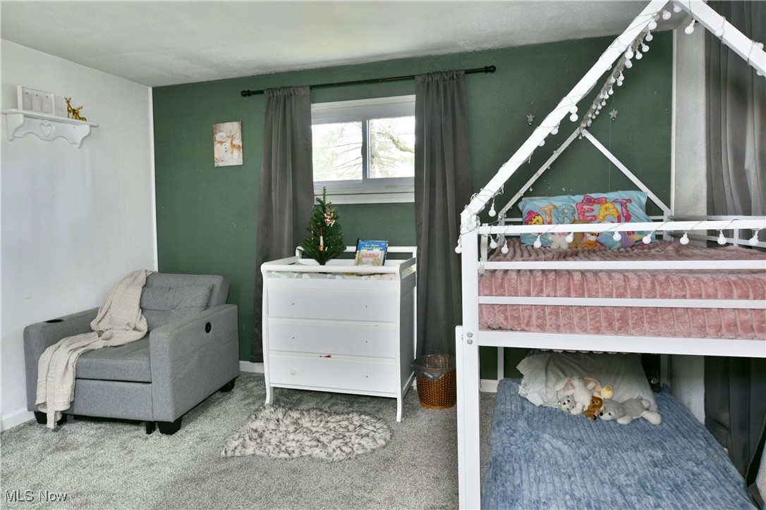 8797 Delin Thomas Road Kinsman OH 44428