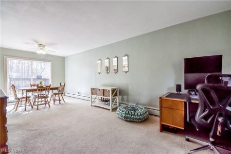 9925 Aldridge Drive Columbia Station OH 44028