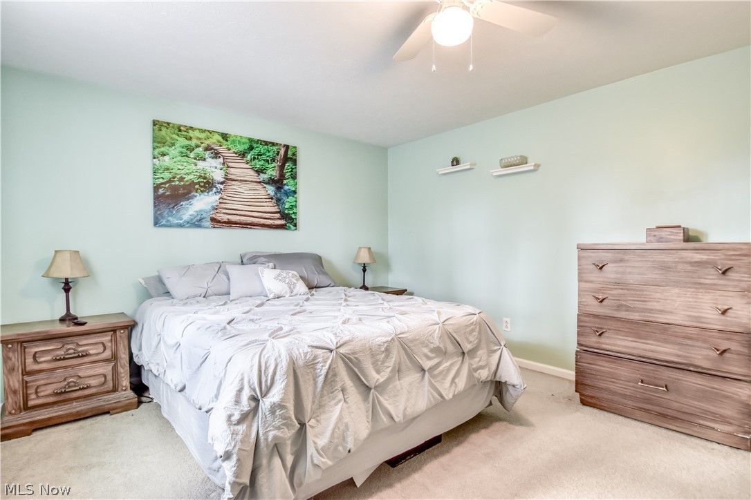 9925 Aldridge Drive Columbia Station OH 44028