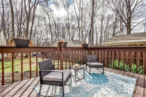 9925 Aldridge Drive Columbia Station OH 44028