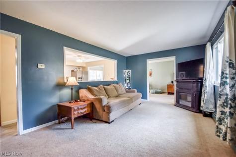9925 Aldridge Drive Columbia Station OH 44028