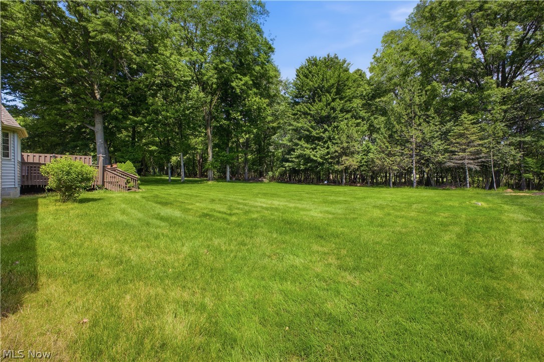 204 Colonial Drive Canfield OH 44406