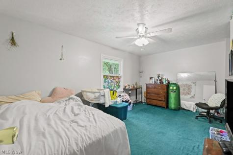 13166 Meadow Street NE Alliance OH 44601