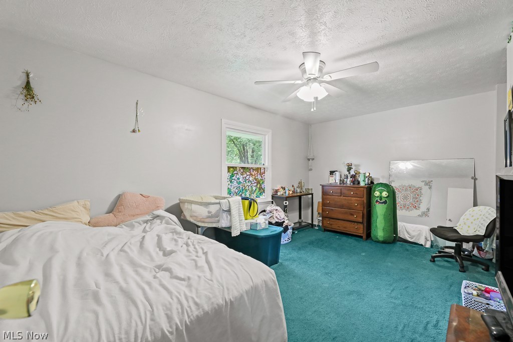 13166 Meadow Street NE Alliance OH 44601
