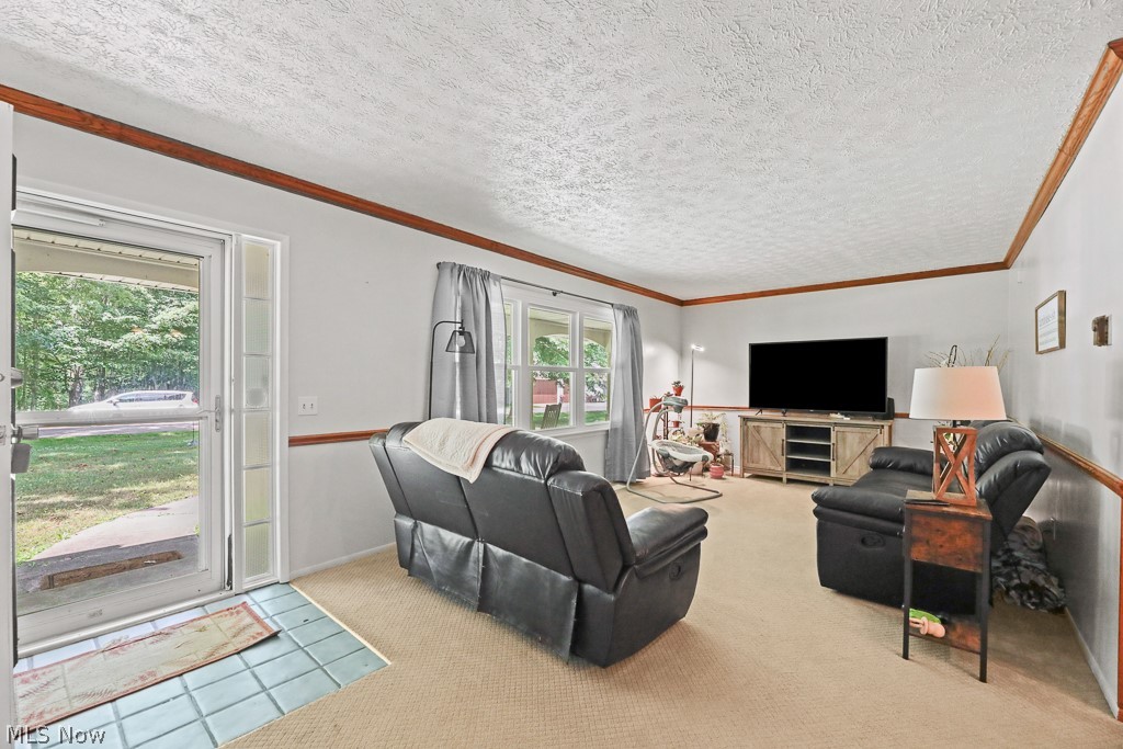 13166 Meadow Street NE Alliance OH 44601