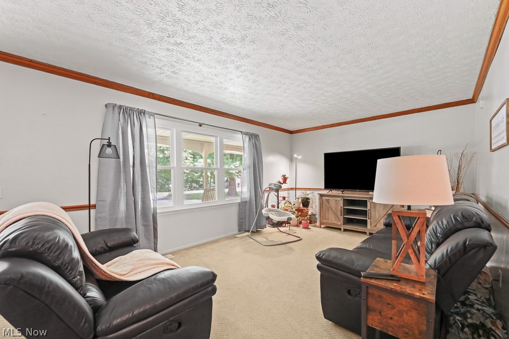 13166 Meadow Street NE Alliance OH 44601