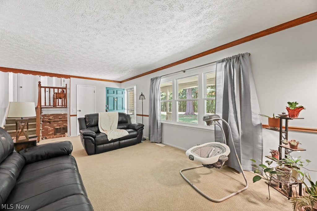13166 Meadow Street NE Alliance OH 44601