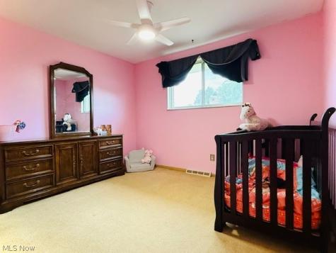 7586 S Tamarack Drive Parma OH 44134