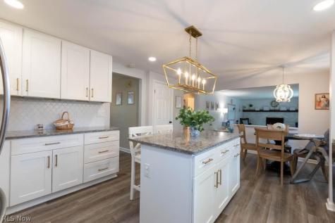 10222 Deer Run Brecksville OH 44141