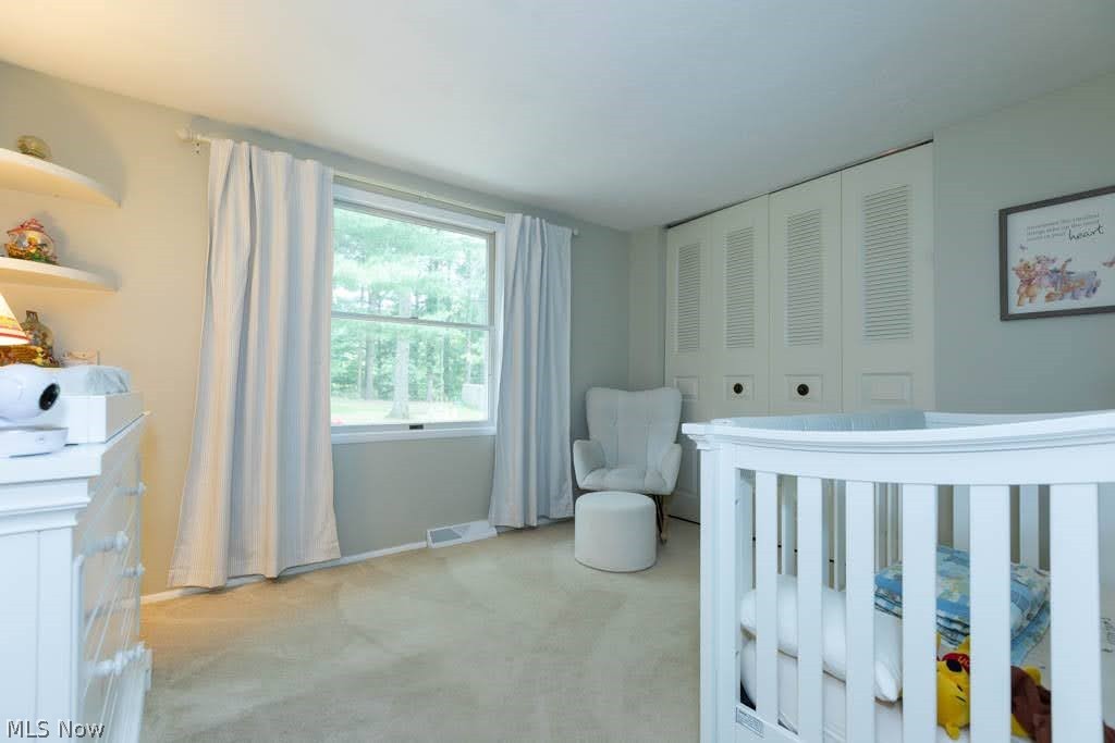 10222 Deer Run Brecksville OH 44141