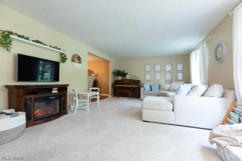 10222 Deer Run Brecksville OH 44141