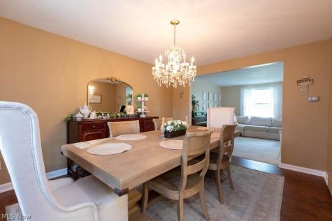 10222 Deer Run Brecksville OH 44141