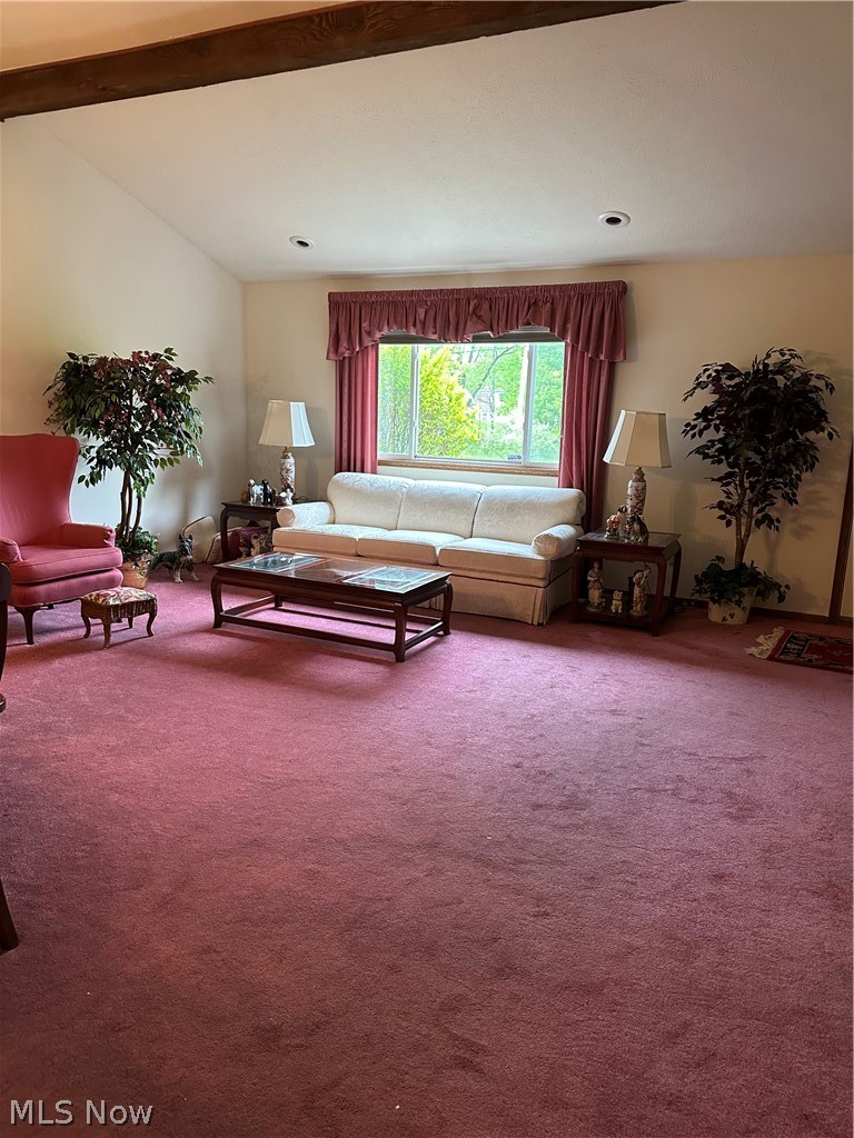 25235 Suwanee Avenue Oakwood OH 44146