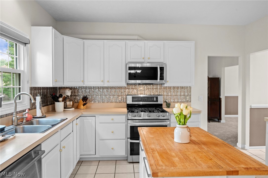 17118 Woodlawn Court Strongsville OH 44149