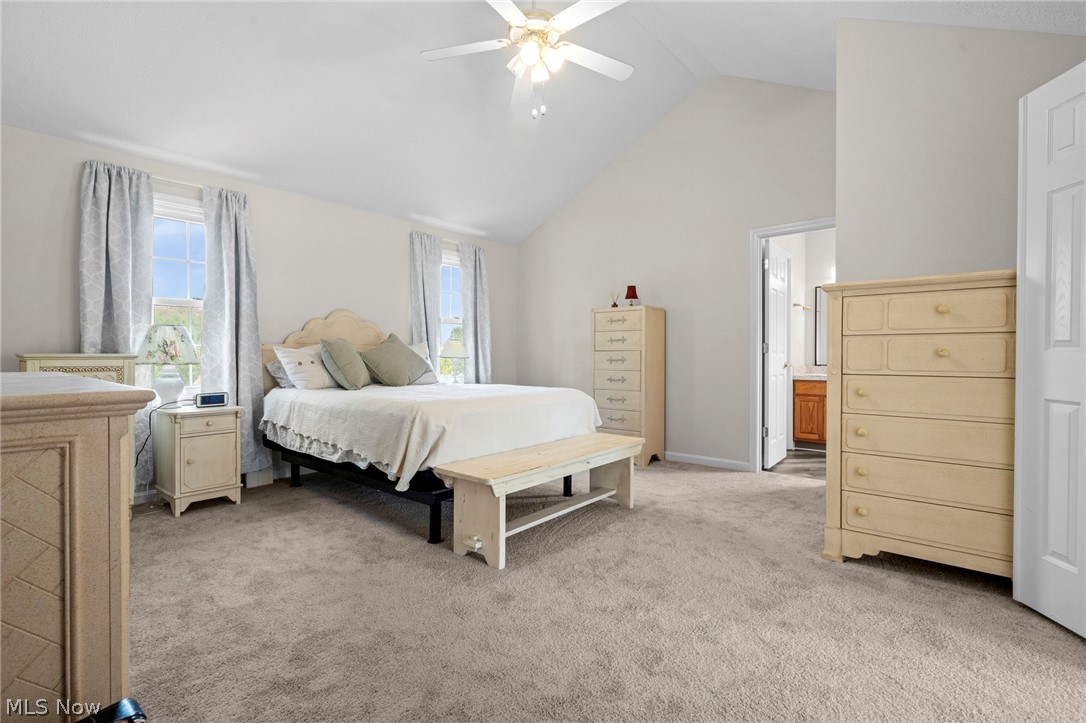 17118 Woodlawn Court Strongsville OH 44149