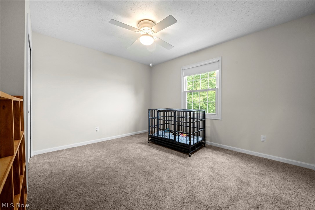 17118 Woodlawn Court Strongsville OH 44149