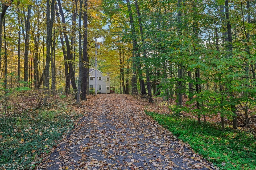 31 Louise Drive Chagrin Falls OH 44022