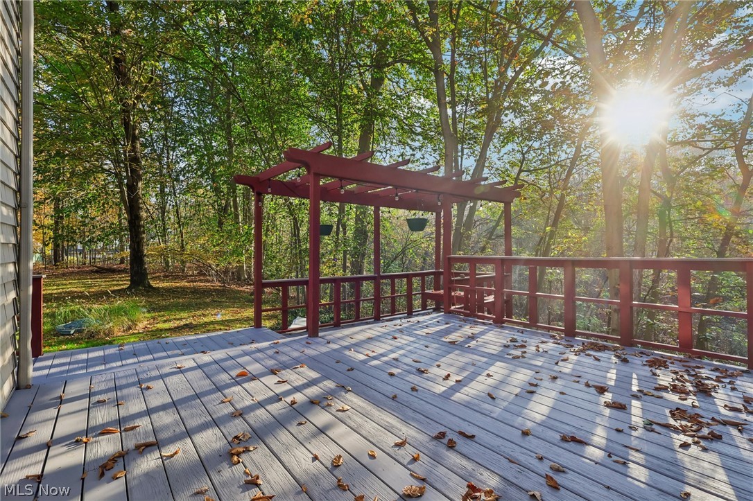 31 Louise Drive Chagrin Falls OH 44022