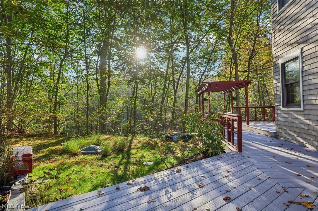 31 Louise Drive Chagrin Falls OH 44022