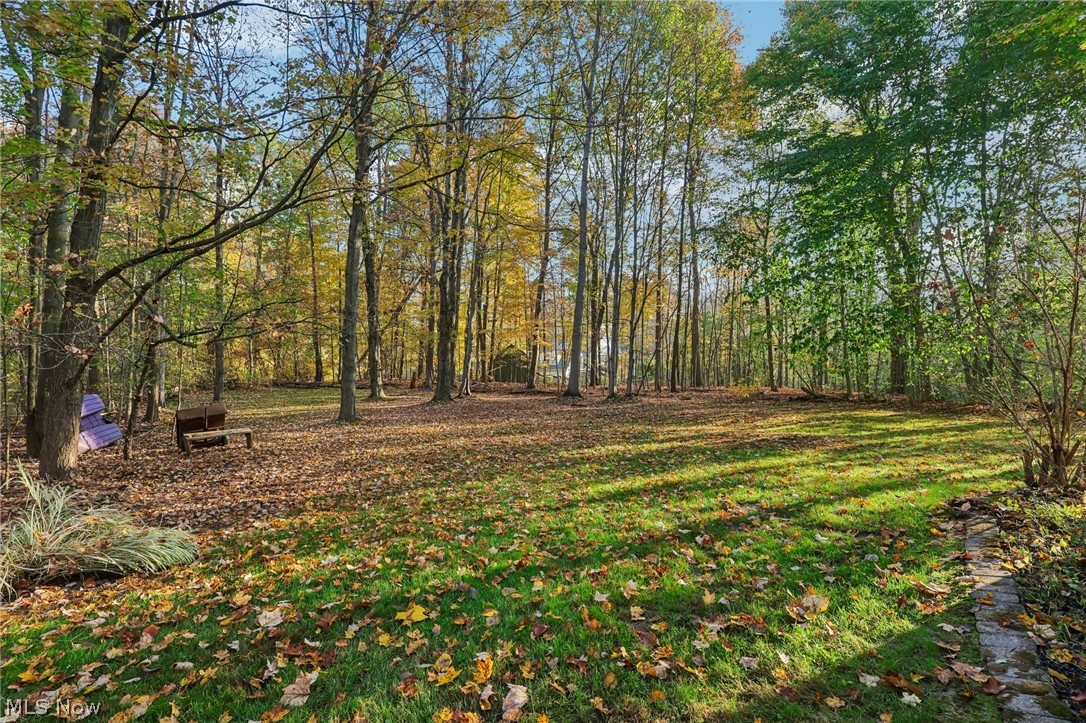 31 Louise Drive Chagrin Falls OH 44022