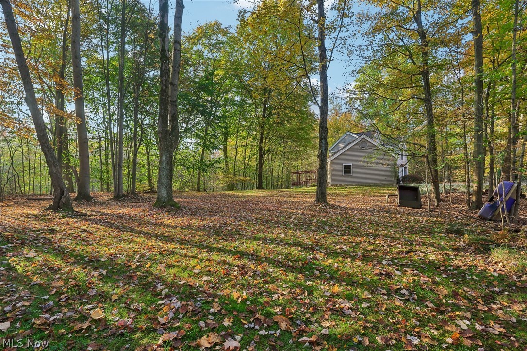 31 Louise Drive Chagrin Falls OH 44022